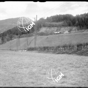 Senza Titolo - LN00004756