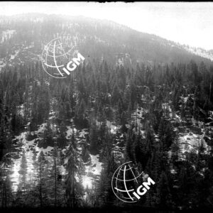 Senza Titolo - LN00004775