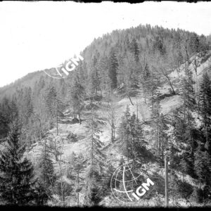 Senza Titolo - LN00004777