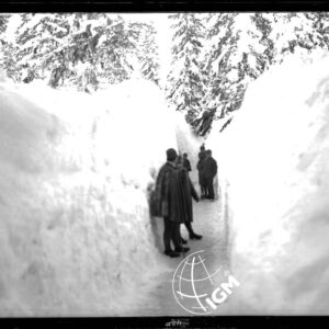 Senza Titolo - LN00004848