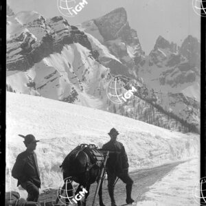 Strada da Paneveggio al Passo Rolle - LN00004863