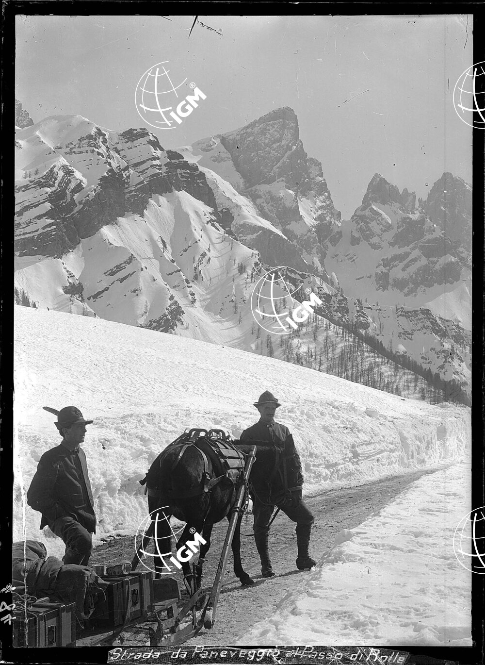 Strada da Paneveggio al Passo Rolle - LN00004863