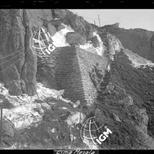 Cima Mesola - LN00004872