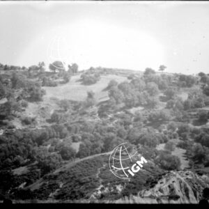 Senza Titolo - LN00004994