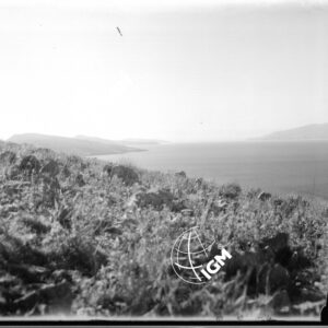 La Baia di Santi Quaranta - LN00005130