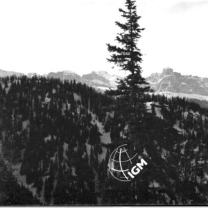 Sass Songer - LN00005258
