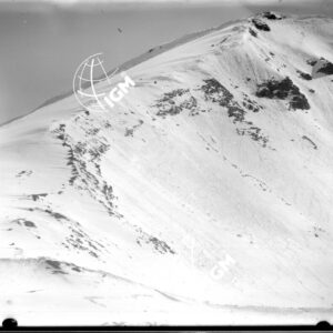 Settsass - LN00005271