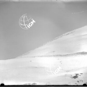 Settsass - LN00005272