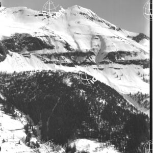 Settsass - LN00005273
