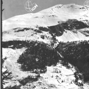 Settsass - LN00005274