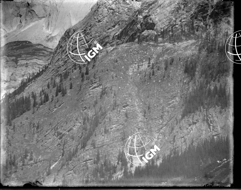 Valle del Boite - San Pauses e Costone Monte Cadini - LN00005371