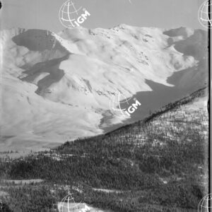 Croda Rossa (Rotwand Sp.) - Panorama da Inner Gsell al Kinigat - Seikoft - Sexten e Moos - LN00005511