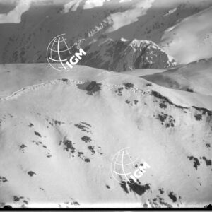 Difese di Forcella di Dignas e di Croda nera - LN00005533