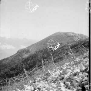 Col dell'Orso Roccione dell'Abete - LN00005850