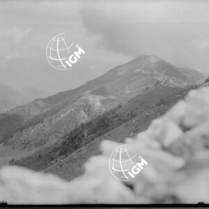 Val del Pez Panorama da Col del Barca al Col dell'Orso - LN00005853