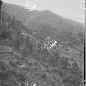 M. Salaròl - M. Valderoa - LN00005856