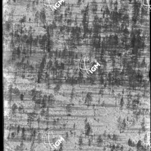 Costone Punta del Forame e Croda dell'Ancona (q.2143 e 2056 - Trincee Schluderbach - Aufkirchen (valle Pusteria) - LN00005878