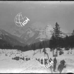 senza titolo - LN00005932