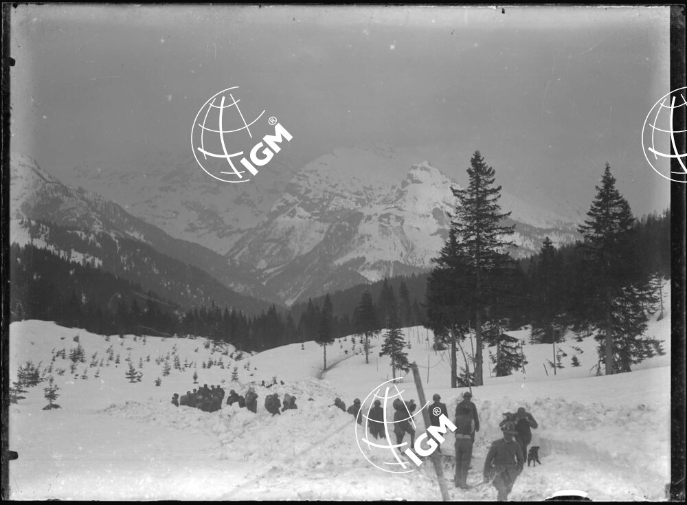 senza titolo - LN00005932