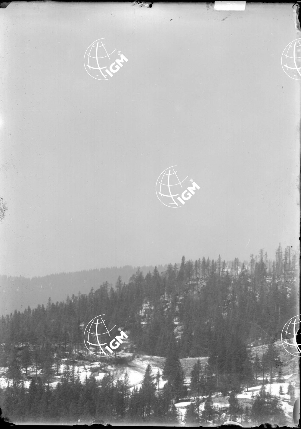 Telefotografia della linea austriaca dello Zebio - LN00006203