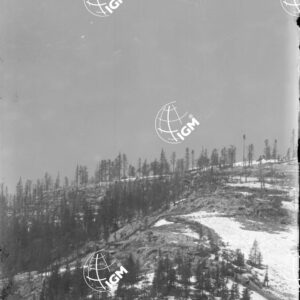 Telefotografia della linea austriaca dello Zebio - LN00006204