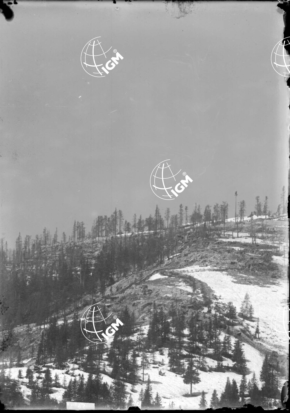 Telefotografia della linea austriaca dello Zebio - LN00006204