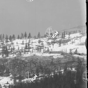 Telefotografia della linea austriaca dello Zebio - LN00006206