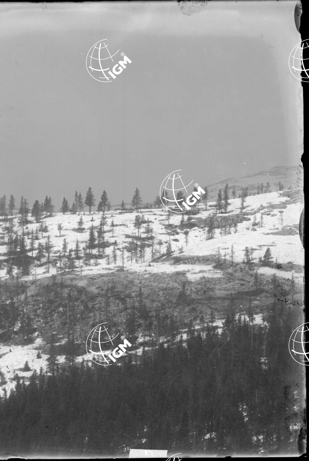 Telefotografia della linea austriaca dello Zebio - LN00006206
