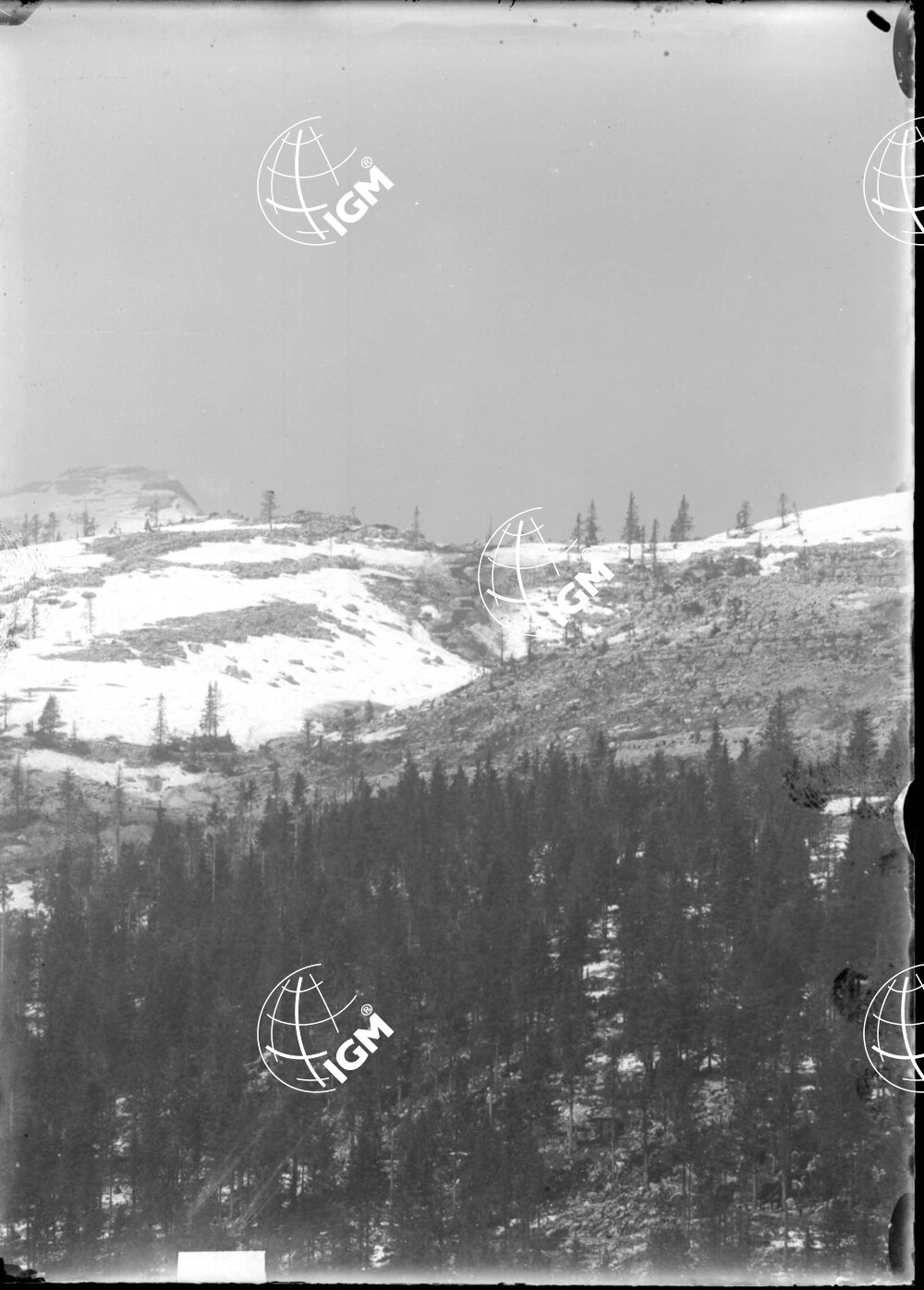 Telefotografia della linea austriaca dello Zebio - LN00006207