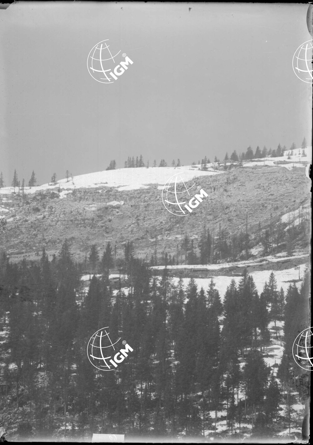 Telefotografia della linea austriaca dello Zebio - LN00006208