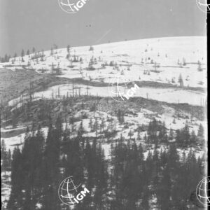 Telefotografia della linea austriaca dello Zebio - LN00006209