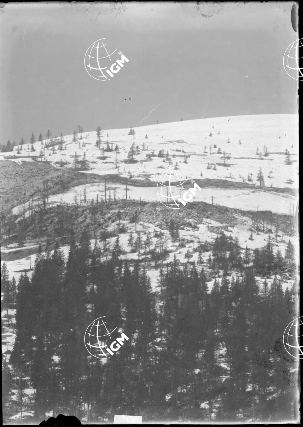 Telefotografia della linea austriaca dello Zebio - LN00006209