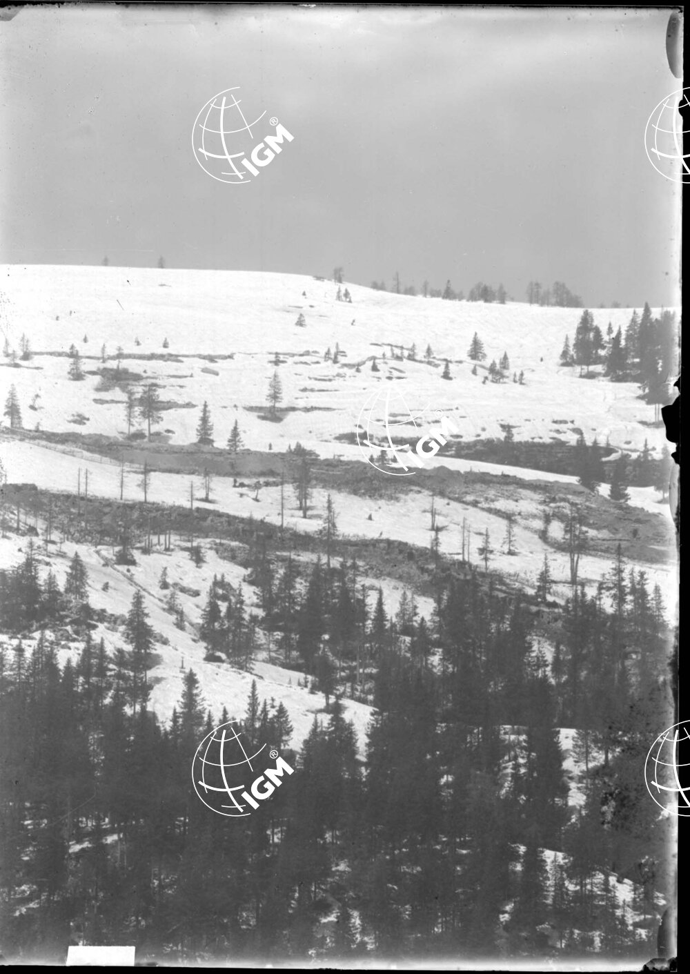 Telefotografia della linea austriaca dello Zebio - LN00006210