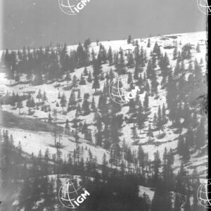 Telefotografia della linea austriaca dello Zebio - LN00006211