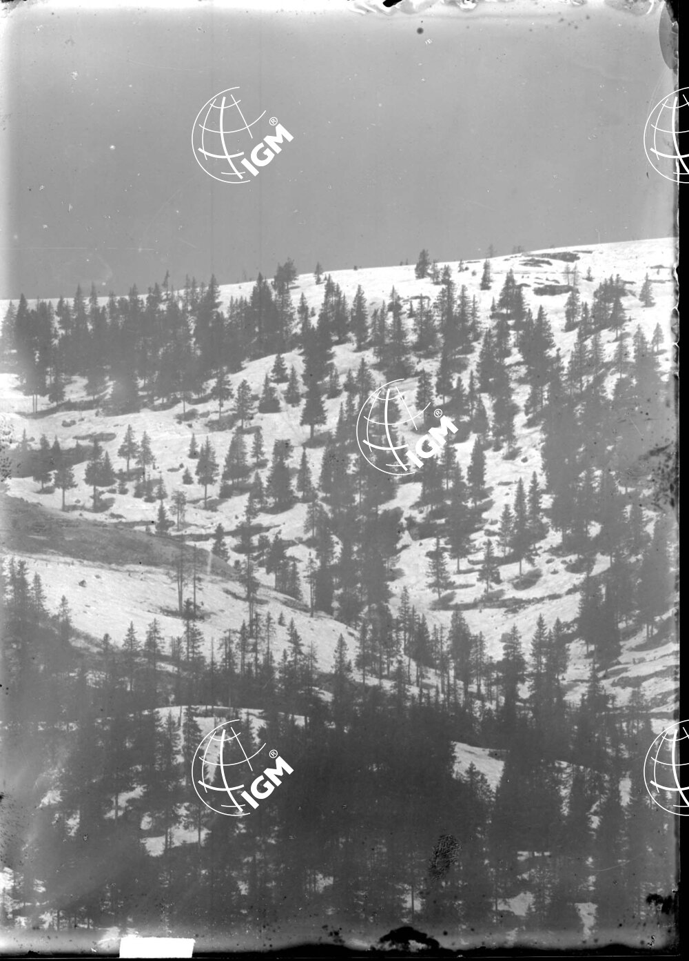 Telefotografia della linea austriaca dello Zebio - LN00006211