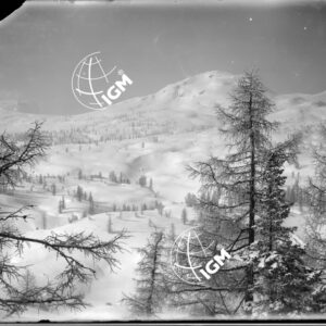 Veduta panoramica della zona Corno di Campo Bianco - Monte Chiesa - LN00006322