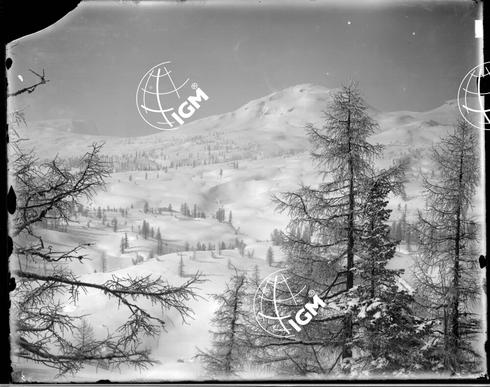Veduta panoramica della zona Corno di Campo Bianco - Monte Chiesa - LN00006322
