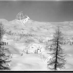 Veduta panoramica della zona Corno di Campo Bianco - Monte Chiesa - LN00006323