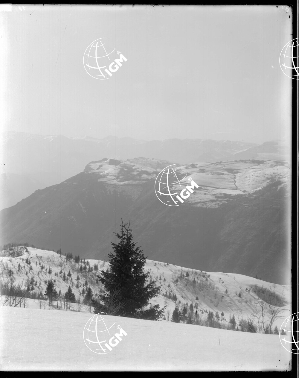 Veduta Panoramica dell'Altopiano di Asiago (settore 26° C.a A) - LN00006325