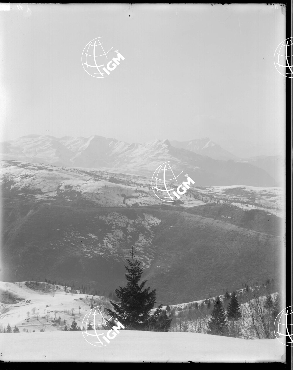 Veduta Panoramica dell'Altopiano di Asiago (settore 26° C.a A) - LN00006326