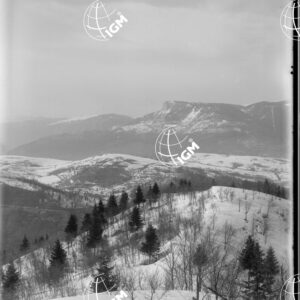 Veduta Panoramica dell'Altopiano di Asiago (settore 26° C.a A) - LN00006327
