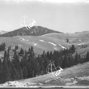 Veduta panoramica della zona Asiago - Colombara - LN00006362