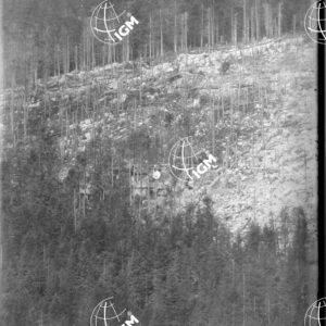 Telefotografia della quota 1476 di Monte Zebio - LN00006363