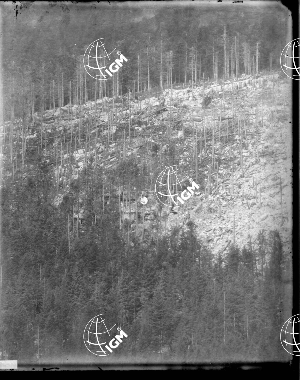 Telefotografia della quota 1476 di Monte Zebio - LN00006363