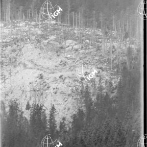 Telefotografia della quota 1476 di Monte Zebio - LN00006364
