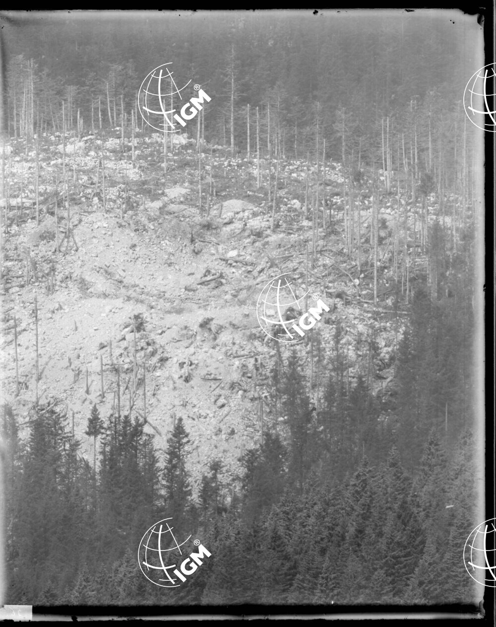 Telefotografia della quota 1476 di Monte Zebio - LN00006364