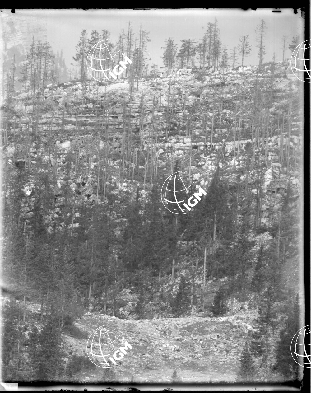 Telefotografia della quota 1706 di Monte Zebio - LN00006365