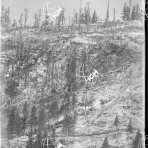 Telefotografia della quota 1706 di Monte Zebio - LN00006366