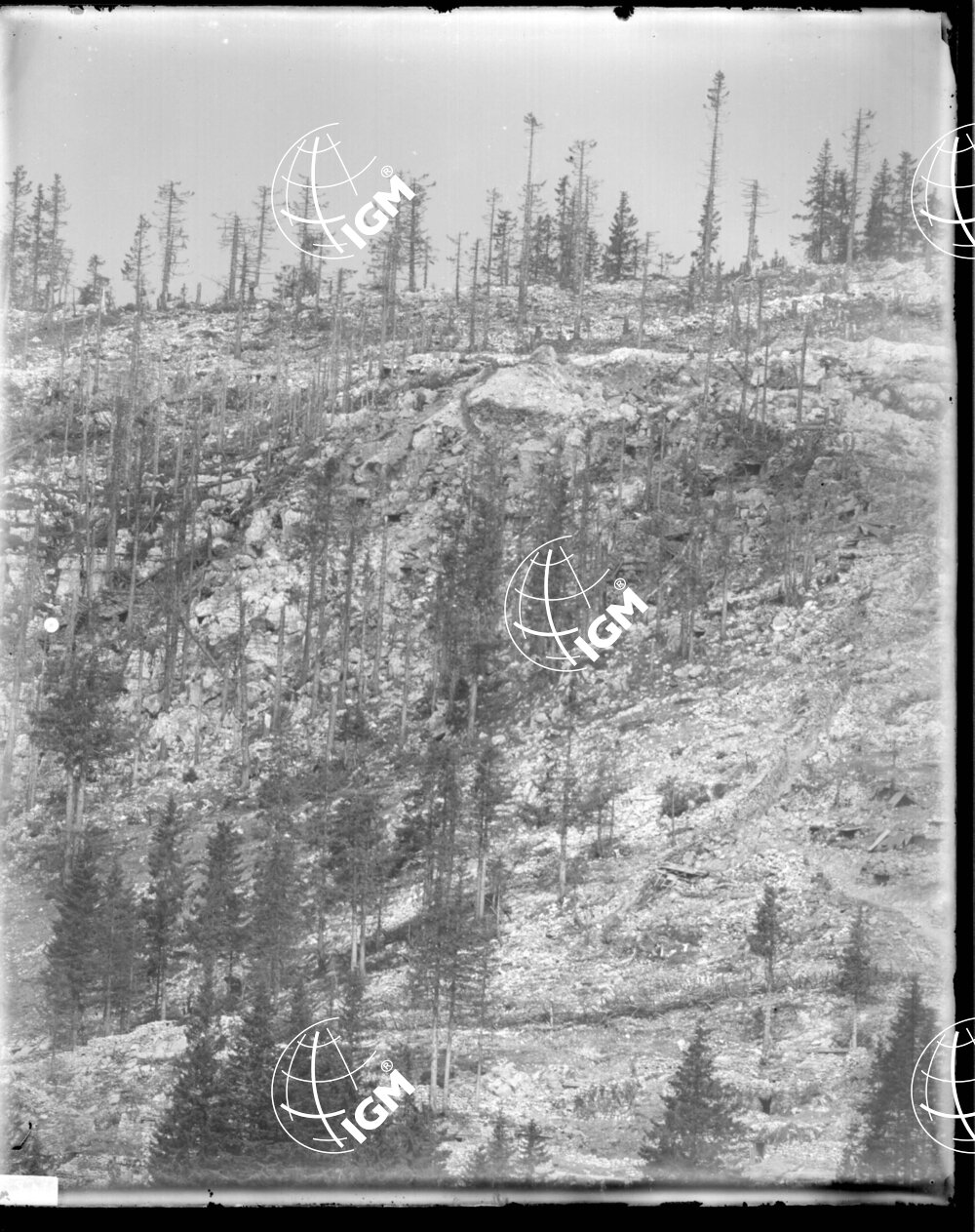 Telefotografia della quota 1706 di Monte Zebio - LN00006366