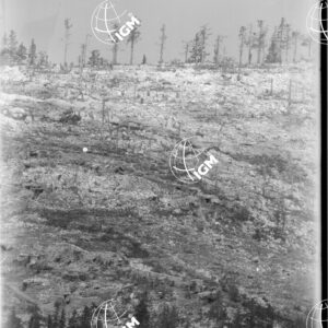 Telefotografia della quota 1706 di Monte Zebio - LN00006367